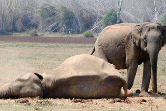 Generic placeholder image