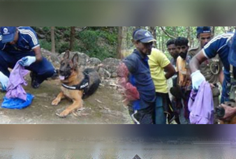 Generic placeholder image