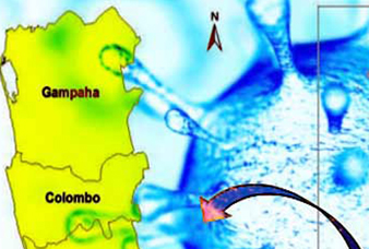 Generic placeholder image