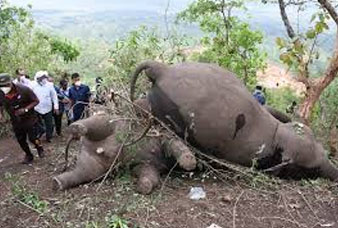 Generic placeholder image