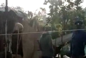 Generic placeholder image