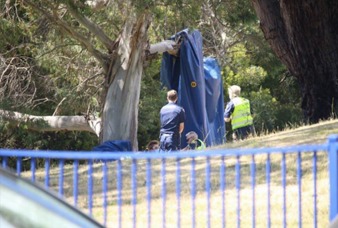 Generic placeholder image