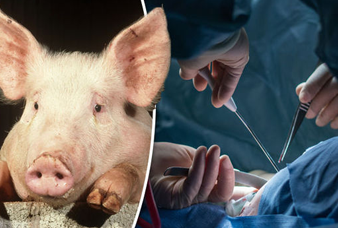 Generic placeholder image