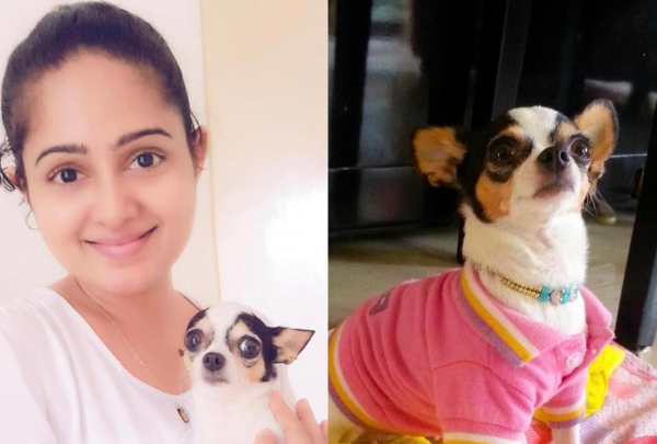 Generic placeholder image