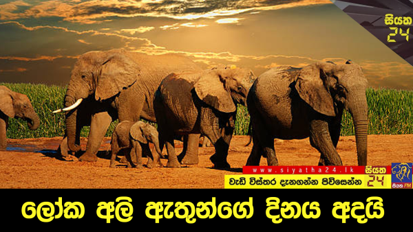 Generic placeholder image