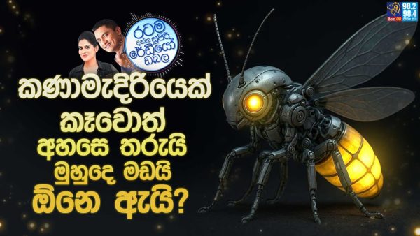 Siyatha FM MORNING SHOW 2025 08 26 | කණාමැදිරියෝ දකින අවසන් පරම්පරාව අපි